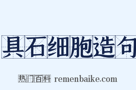 具石细胞造句是什么意思的图片